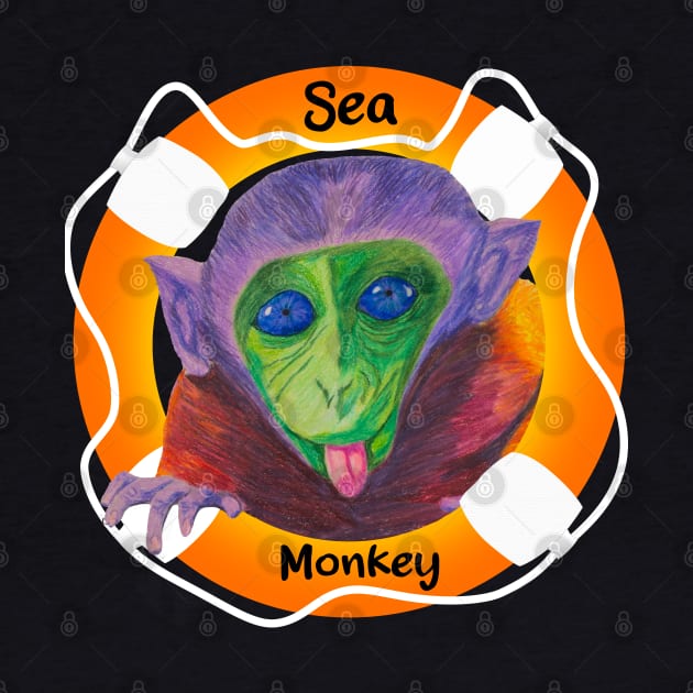 Sea Monkey madness by Megan's Things